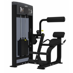 AeroFit IF9332 Разгибание спины из каталога грузоблочных тренажеров в Омске по цене 262740 ₽