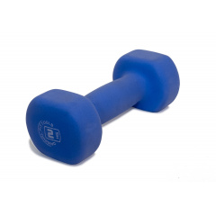 2 кг. синий FT-NDB-2 в Омске по цене 770 ₽ в категории обрезиненные гантели Original FitTools