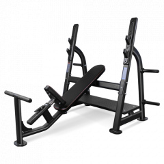 Bronze Gym BR-1014 наклонная из каталога скамей со стойкой в Омске по цене 120990 ₽
