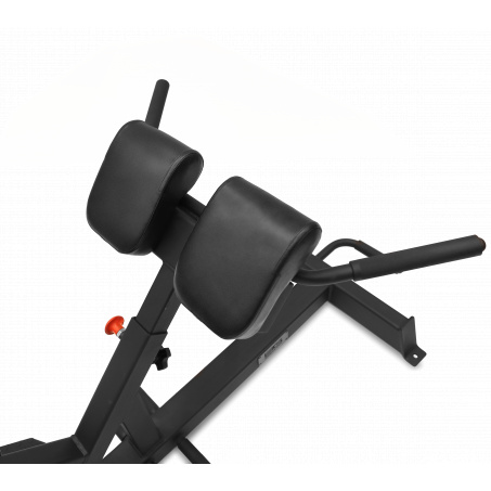 Рендер-6 для Bronze Gym AL-317
