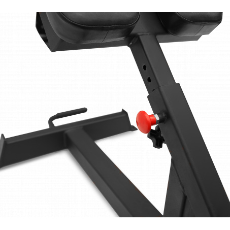 Рендер-5 для Bronze Gym AL-317