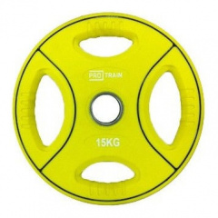 Protrain DB6092-15 (д=50 мм) из каталога дисков для штанги с посадочным диаметром 50 мм. в Омске по цене 7040 ₽
