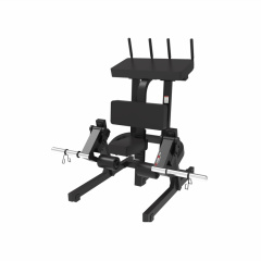 UltraGym UG-714 из каталога тренажеров на свободных весах в Омске по цене 131560 ₽