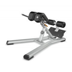 Precor Discovery Line DBR312 из каталога гиперэкстензий в Омске по цене 227800 ₽