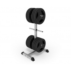 DFC DFC D100133 из каталога стоек для дисков (блинов) в Омске по цене 5950 ₽