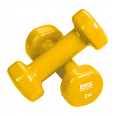 Bronze Gym виниловая 2 кг (пара) из каталога гантелей для фитнеса в Омске по цене 1450 ₽