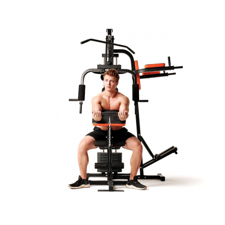 Рендер-29 для DFC HomeGym D7002-60 стек 60 кг