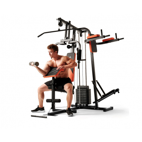 Рендер-28 для DFC HomeGym D7002-60 стек 60 кг