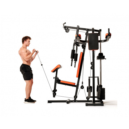 Рендер-19 для DFC HomeGym D7002-60 стек 60 кг