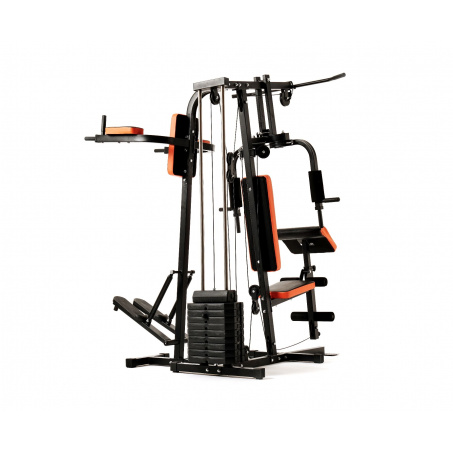 Рендер-12 для DFC HomeGym D7002-60 стек 60 кг