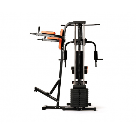 Рендер-11 для DFC HomeGym D7002-60 стек 60 кг