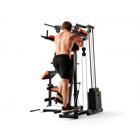 Рендер-6 для DFC HomeGym D7002-60 стек 60 кг