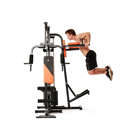 Рендер-4 для DFC HomeGym D7002-60 стек 60 кг