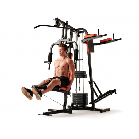 Рендер-3 для DFC HomeGym D7002-60 стек 60 кг