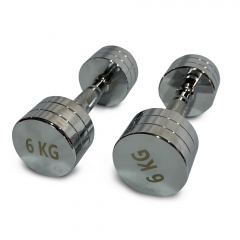 UnixFit PRO круглая 6 кг DBRND6PCE из каталога хромированных гантелей в Омске по цене 3290 ₽