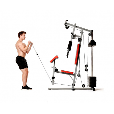 Рендер-7 для DFC HomeGym D7001-60 / стек 60 кг