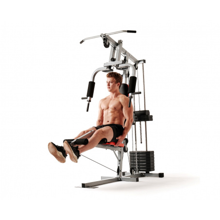 Рендер-6 для DFC HomeGym D7001-60 / стек 60 кг