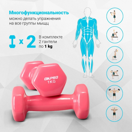 Рендер-2 для OKPRO OK1001A-1 1 кг. 2 шт.