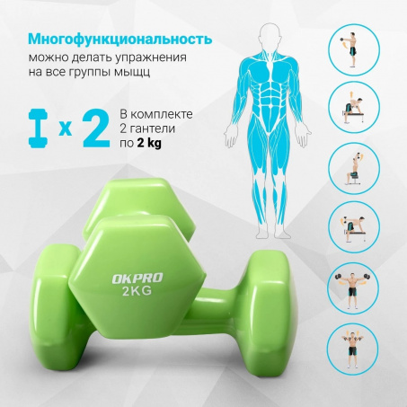 Рендер-1 для OKPRO OK1001A-2 2 кг. 2 шт.