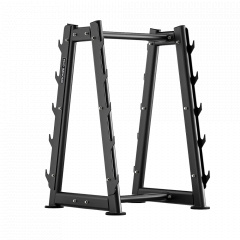Bronze Gym RAVE RE66 из каталога стоек для грифов в Омске по цене 119990 ₽