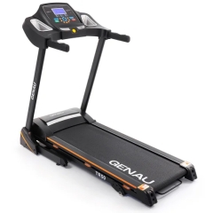 TR50 в Омске по цене 40210 ₽ в категории беговые дорожки Genau