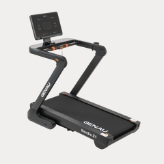 Nordic Z1 в Омске по цене 92650 ₽ в категории беговые дорожки Genau