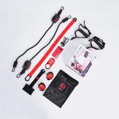 HYROPE HyGear Gear 1 из каталога комплексов для кроссфита и функционального тренинга в Омске по цене 10200 ₽