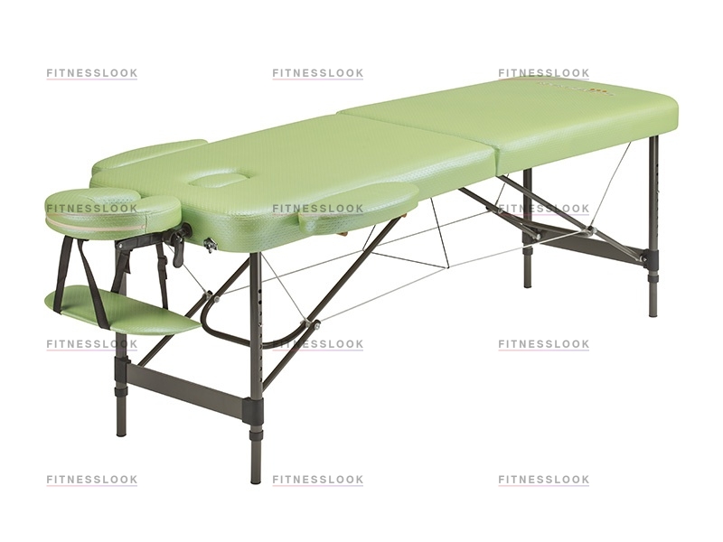 Mint в Омске по цене 18000 ₽ в категории складные массажные столы Anatomico