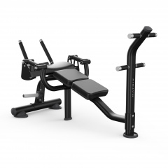 Matrix Magnum MG-PL50 - скамья для скручивания из каталога тренажеров на свободных весах в Омске по цене 355000 ₽