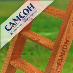 Самсон Лестница деревянная из каталога аксессуаров к игровым комплексам в Омске по цене 3400 ₽