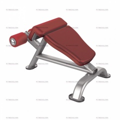 AeroFit IT7030 из каталога тренажеров римский стул в Омске по цене 64300 ₽