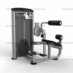 AeroFit Impulse Elite IE9532 - разгибание спины из каталога грузоблочных тренажеров в Омске по цене 187340 ₽