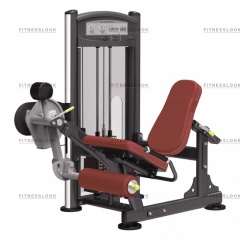 AeroFit IT9305 - разгибание ног из каталога грузоблочных тренажеров в Омске по цене 179950 ₽