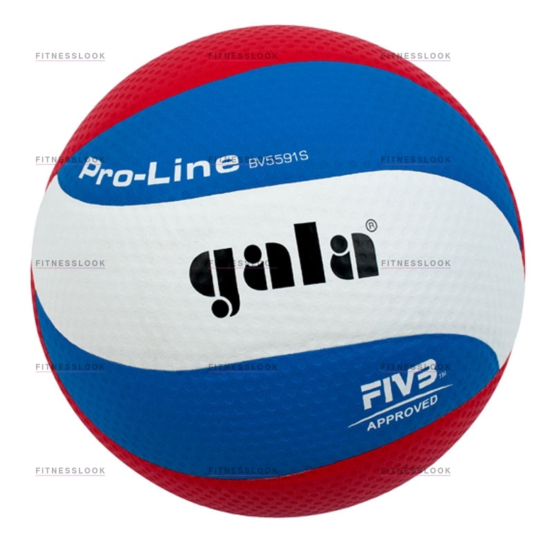 Gala Pro-line из каталога баскетбольных мячей в Омске по цене 3030 ₽