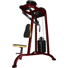 ProfiGym ТГ-0040-CР (Rubin) - Задняя дельта из каталога грузоблочных тренажеров в Омске по цене 100390 ₽