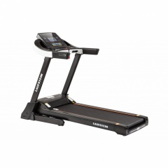 Prisma в Омске по цене 62900 ₽ в категории беговые дорожки Laufstein