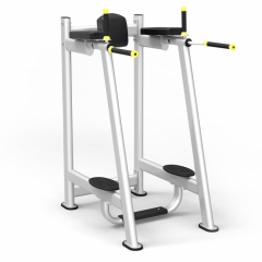 Protrain 61A45 из каталога стоек турник брусья-пресс в Омске по цене 66220 ₽